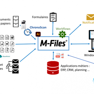 schema_m-files